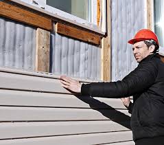 Best Insulated Siding Installation  in Litchfield, MN